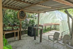 TURER 3 FOSSER OG KAKAOWORKSHOP