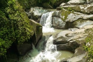 TURE TIL 3 VANDFALD OG KAKAOWORKSHOP