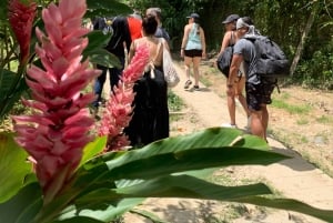 TURE TIL 3 VANDFALD OG KAKAOWORKSHOP