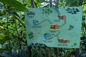 TURE TIL 3 VANDFALD OG KAKAOWORKSHOP