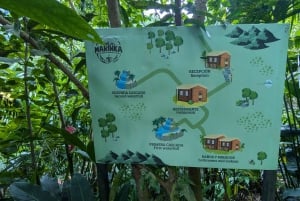 3 WATERFALLS TOUR - MINCA