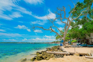 5 VIP Islands in Cartagena - Colombia from 507.000