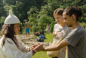 8-Day Experience: Lost City Trek & Cartagena
