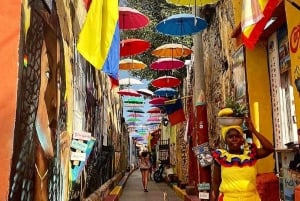 8-Day Experience: Lost City Trek & Cartagena