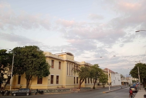 8-day tour along the coast (Santa Marta, Tayrona, Cartagena, and Barranquilla)