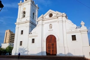 8-day tour along the coast (Santa Marta, Tayrona, Cartagena, and Barranquilla)