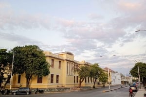 8-day tour along the coast (Santa Marta, Tayrona, Cartagena, and Barranquilla)