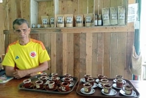 8-day tour along the coast (Santa Marta, Tayrona, Cartagena, and Barranquilla)