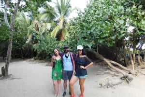 8-day tour along the coast (Santa Marta, Tayrona, Cartagena, and Barranquilla)