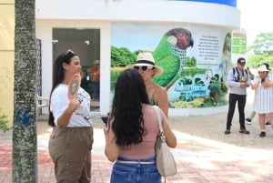 8-day tour along the coast (Santa Marta, Tayrona, Cartagena, and Barranquilla)