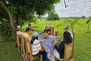 8-day tour along the coast (Santa Marta, Tayrona, Cartagena, and Barranquilla)