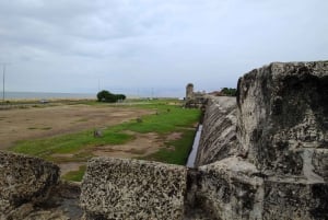 8-day tour along the coast (Santa Marta, Tayrona, Cartagena, and Barranquilla)