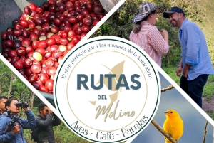 ボゴタから90分：手作りのコーヒー、鳥、文化、現地ガイド付きのツアー