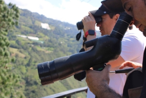 ボゴタから90分：手作りのコーヒー、鳥、文化、現地ガイド付きのツアー