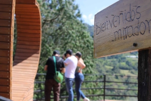 ボゴタから90分：手作りのコーヒー、鳥、文化、現地ガイド付きのツアー