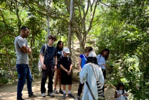 Une journée de visite culturelle dans une communauté indigène près de Santa Marta