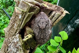 Une journée de visite culturelle dans une communauté indigène près de Santa Marta