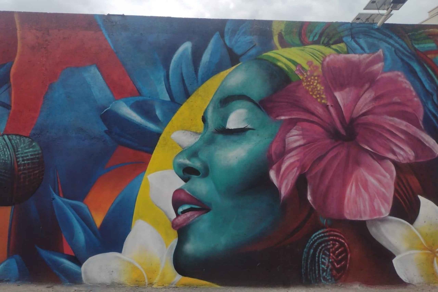 Пешеходная экскурсия 'Афро'. Цвета Кали.