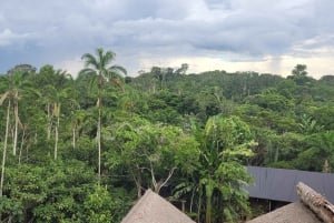 Amazonas Extreme
