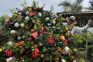 Among flowers and tradition: Santa Elena