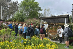 Among flowers and tradition: Santa Elena