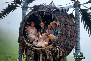 Среди пальм и красок: откройте для себя долину Кокора и Саленто