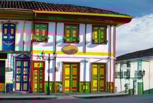 Среди пальм и красок: откройте для себя долину Кокора и Саленто