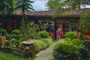 Среди пальм и красок: откройте для себя долину Кокора и Саленто