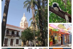 An extraordinary and authentic tour through Cartagena de Indias, Colombia