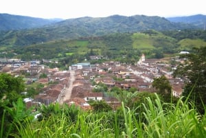 Archaeological Mountain Bike Tour to la Chaquira, Purutal,..