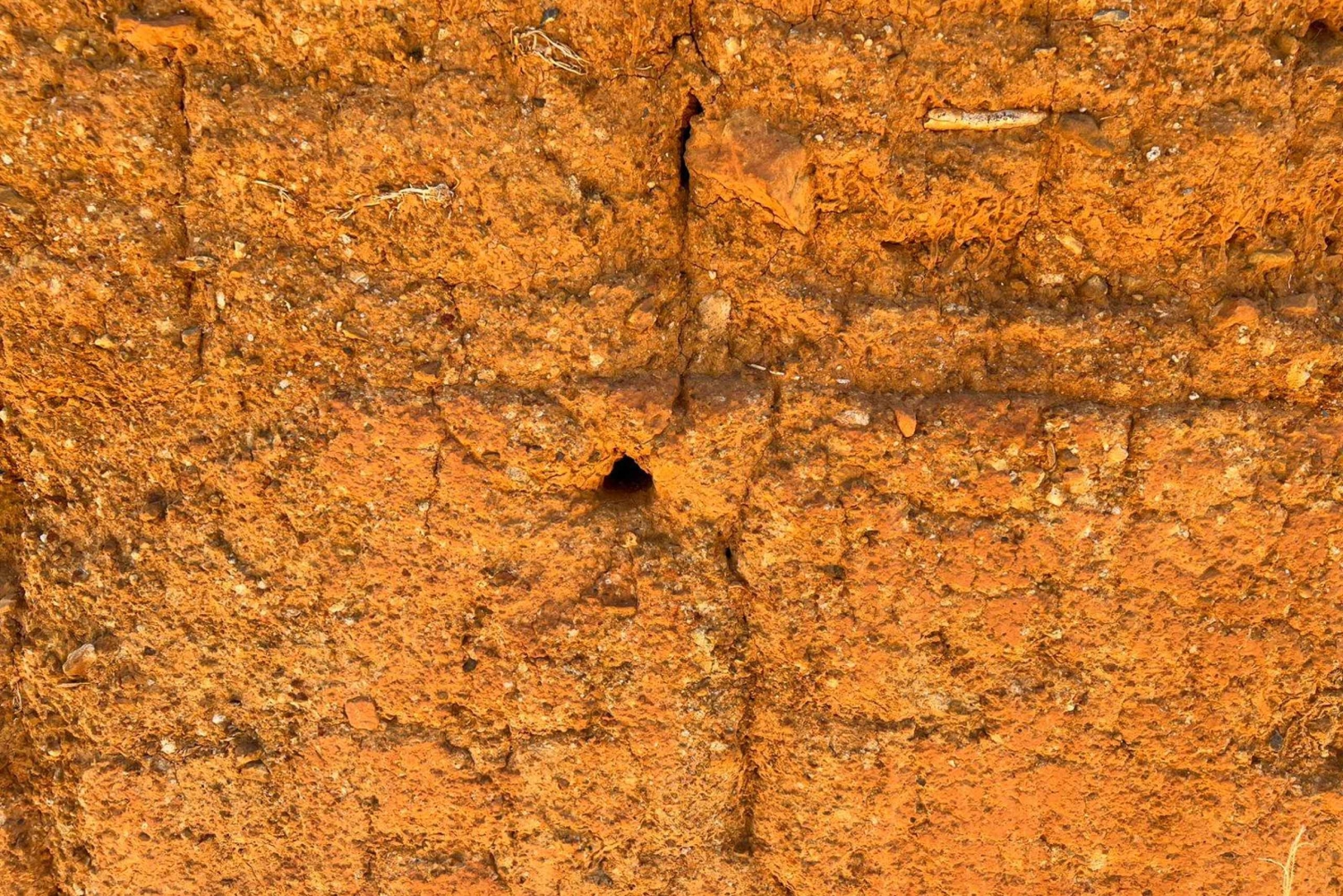 バリチャラの建築ツアー：街並みから歴史を発見する