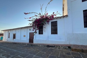 バリチャラの建築ツアー：街並みから歴史を発見する