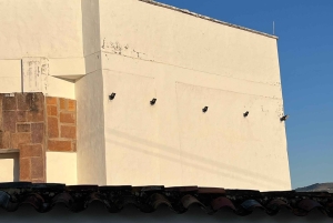 バリチャラの建築ツアー：街並みから歴史を発見する