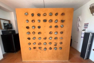 バリチャラの建築ツアー：街並みから歴史を発見する