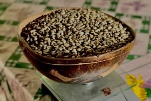 Expérience indigène Arhuaco à Minca : nature et sagesse