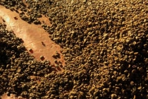 Expérience indigène Arhuaco à Minca : nature et sagesse