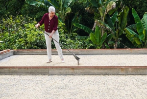 Armenia, Quindío: Traditional coffee farm tour with roasting and transport