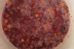 Armenia, Quindío: Traditional coffee farm tour with roasting and transport