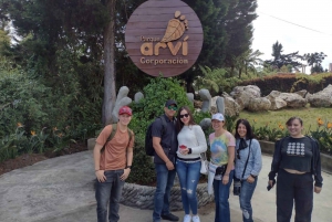 Arvi park tour: Coffee tasting, hiking & more