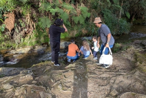Arvi Park Walking tour and city views by Cable Ride.