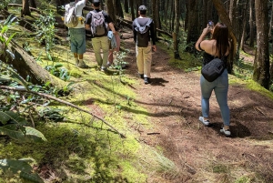 Arvi Park Walking tour and city views by Cable Ride.