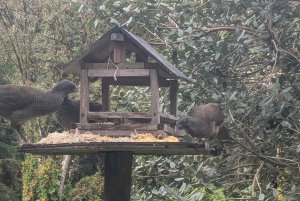 Arvi Park Walking tour and city views by Cable Ride.