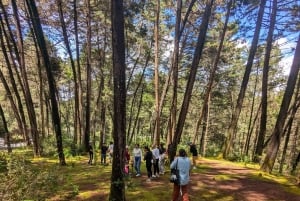 Visite à pied d'Arví