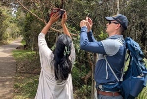 Visite à pied d'Arví