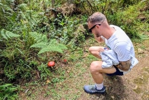 Visite à pied d'Arví