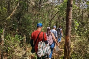 Visite à pied d'Arví