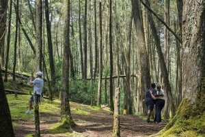 Visite à pied d'Arví