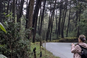 Visite à pied d'Arví