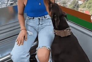 Visite à pied d'Arví