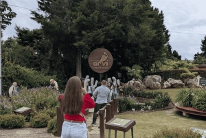 Visite à pied d'Arví